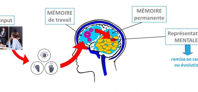 Le processus d’apprentissage