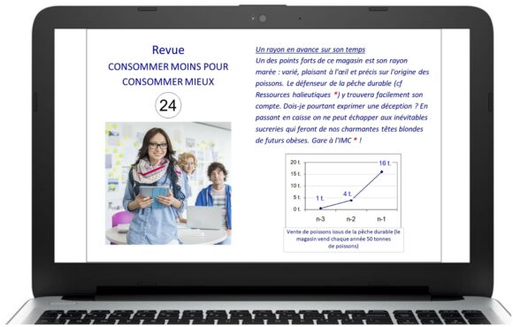 Jeu à distance sur le Développement Durable